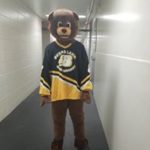 bear