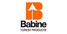 TEAM SPONSOR